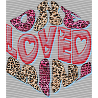 Valentine's Day-QRJ  4564